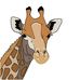 Bill Santangelo - Facebook