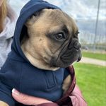 Bill Sawyer - @bill.sawyer.7921 - Instagram