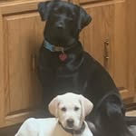 Bill Scalf - @billscalf - Instagram