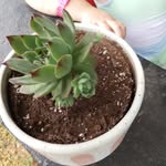 Bill Schmalz - @bill4385 - Instagram