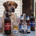 Bill Schulz - @bschulz53 - Instagram
