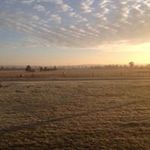 Bill Schulz - @schulz_bill - Instagram