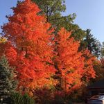 Bill Schulz - @bill.schulz.9028 - Instagram