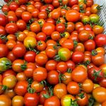Bill Schulz - @niagara_green - Instagram