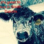 Bill Schulz - @wschulz66 - Instagram
