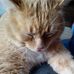 BillAnn Schutt - Facebook