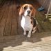 William Searle - Facebook
