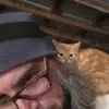 Bill Seese - @bill.seese - TikTok