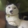Billy Seeger948 - @billsees007 - TikTok