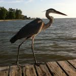 Bill Seward - @bill.seward2101 - Instagram