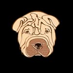 SharePay - @sharepaybill - Instagram