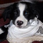 Bill Sheehan - @bill.sheehan.52 - Instagram