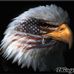 Bill Sheehan - Facebook