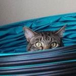 Bill Sibert - @bill.sibert.26 - Instagram