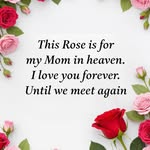 Bill Slone - @bill.slone.127 - Instagram