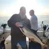 Bill Smiley - @bill.smiley - TikTok