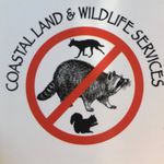 Bill Smith - @coastal_land_and_wildlife - Instagram