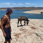 Bill - @bill__solomon - Instagram
