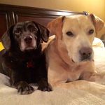 Bill Speer - @billspeer_13 - Instagram