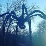 Bill Stearns - @stearns8797 - Instagram