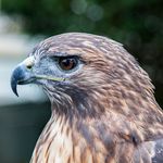Bill Steele - @ba.steele - Instagram