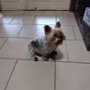 Billy Stockton - @billy.stockton - TikTok