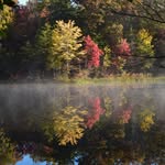 Bill Stovall - @corrected_visions - Instagram