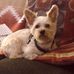 Bill Straka - Facebook