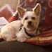 Bill Straka - Facebook
