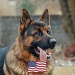 Bill Strausser - @billstrausser - Instagram