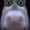 bill.strauss - @bill.strauss - TikTok