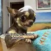 Billy - @billy.strauss9 - TikTok