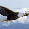 billystrauss477 - @billystrauss0 - TikTok