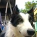 Bill Stringer - Facebook