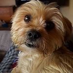 Bill Stringer - @stringerbill - Instagram