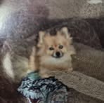 Bill Suggs - Facebook