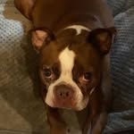 Bill Suggs - @billsuggs6 - Instagram
