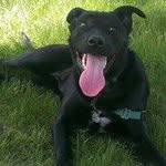 Bill Sweeney - @bill.sweeney.9406 - Instagram