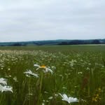 Bill Sweeney - @billsweeney129 - Instagram