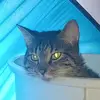 bill swift - @billswifter - TikTok