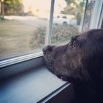 Bill Swift - @bill_swift - Instagram
