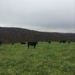 Bill Tabor - @billtabor6 - Instagram