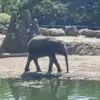 billytabor671 - @billytabor671 - TikTok