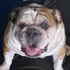 Billy Tackett - @billytackett79 - TikTok