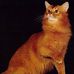 Billie Karen Talbert - Facebook