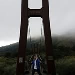 Bill Tam - @billtam823 - Instagram