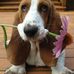 Bill Tanner - Facebook