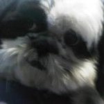 Bill Tate - @whtate - Instagram