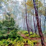 Bill Tatum - @btatum1256 - Instagram