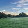 Bill Tatum - @bill.tatum5 - TikTok